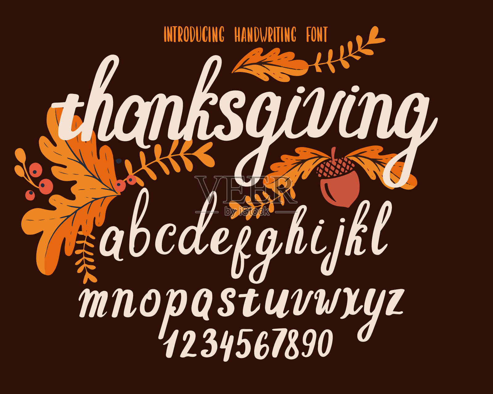 字体感恩节。排版字母与彩色秋季插图。插画图片素材