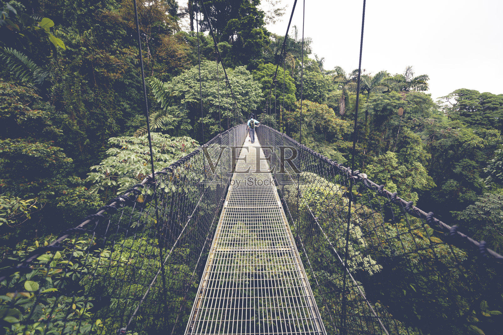 哥斯达黎加热带雨林顶端的桥照片摄影图片