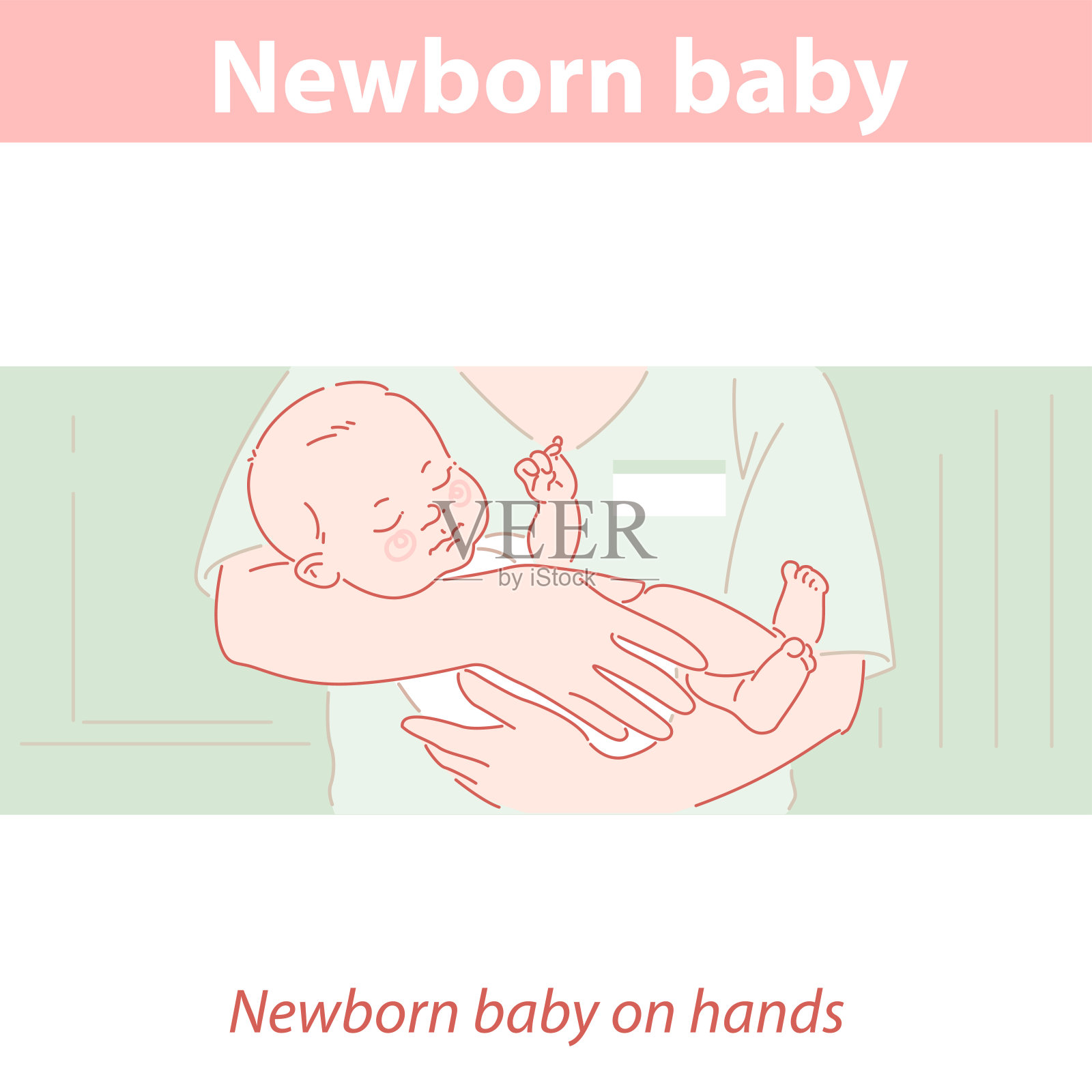 新生男婴或女婴在医生手中。插画图片素材