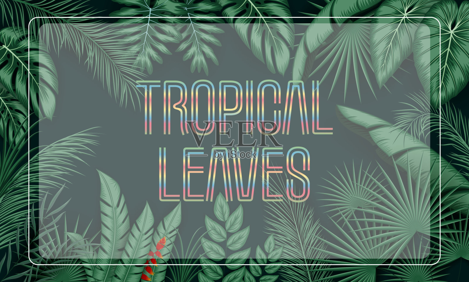 热带树叶与丛林植物背景插画图片素材