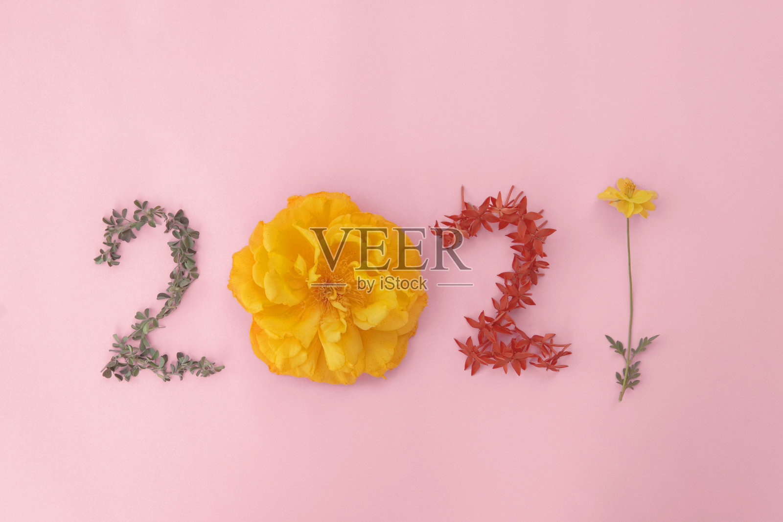 粉色背景的天然叶子和花朵制成的2021年，祝你新年健康，生活方式健康照片摄影图片