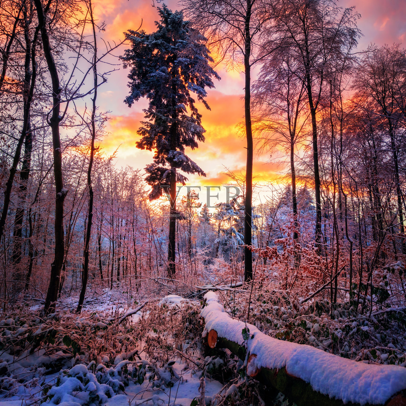 野外的冬季日落照片摄影图片