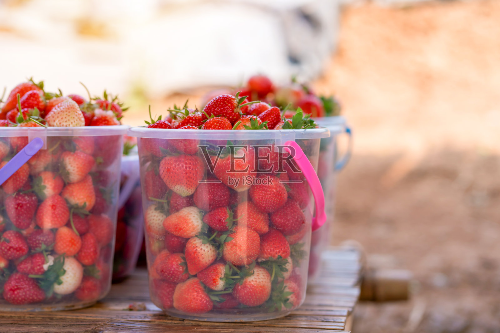 草莓田托盘里的新鲜天然草莓照片摄影图片