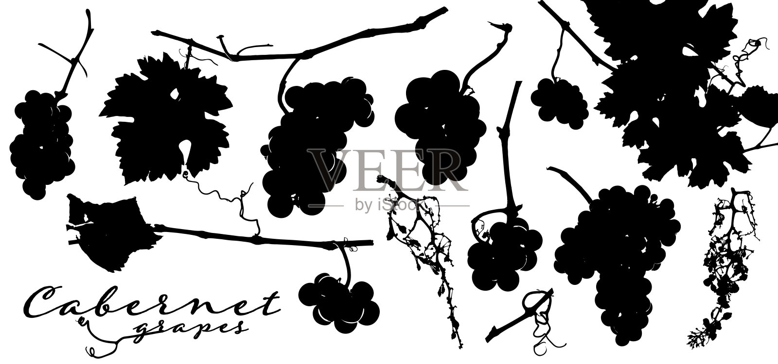 葡萄串的剪影，葡萄叶和葡萄园的树枝。设计元素图片