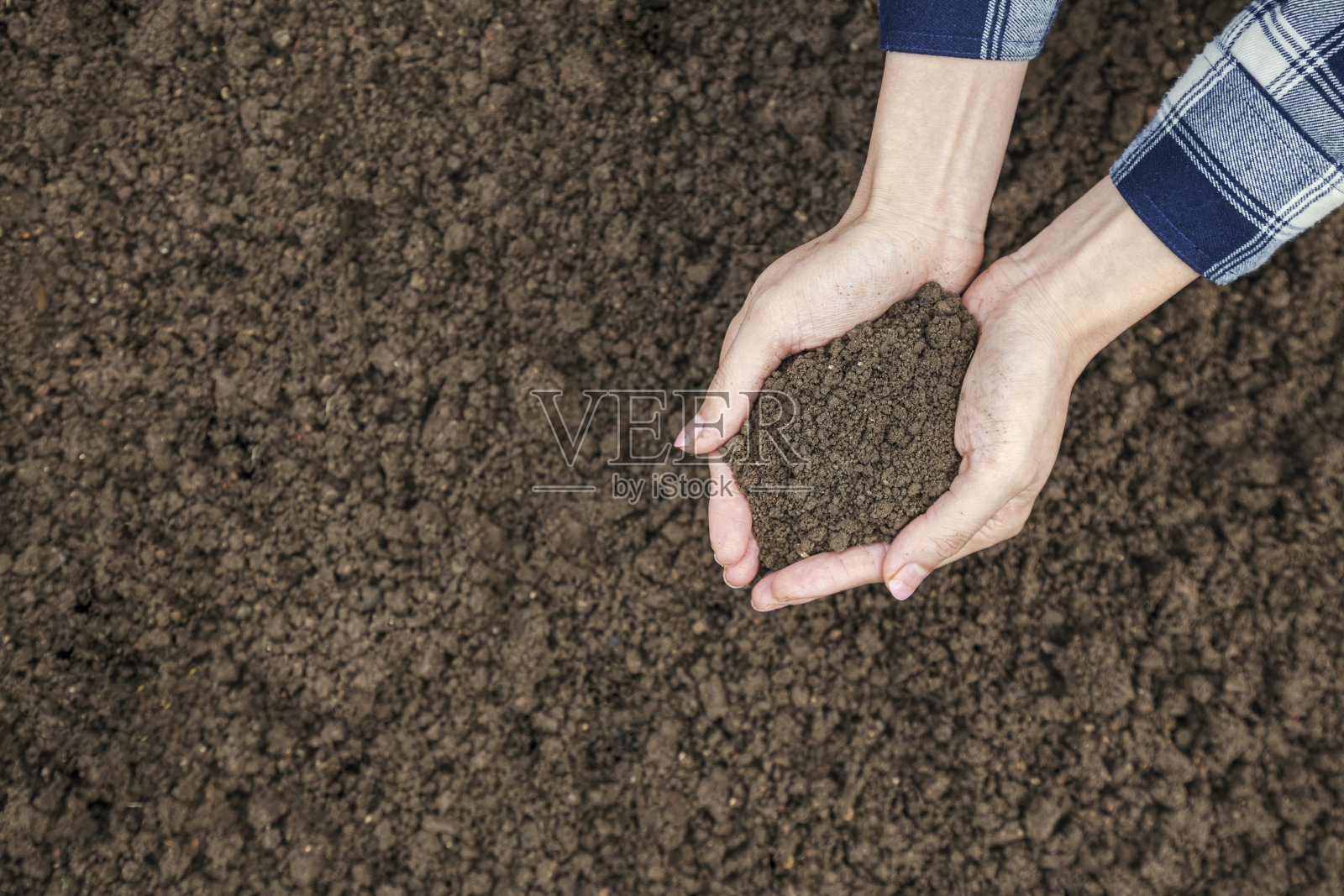 手握肥沃的土壤为植物在自然中生长的概念照片摄影图片