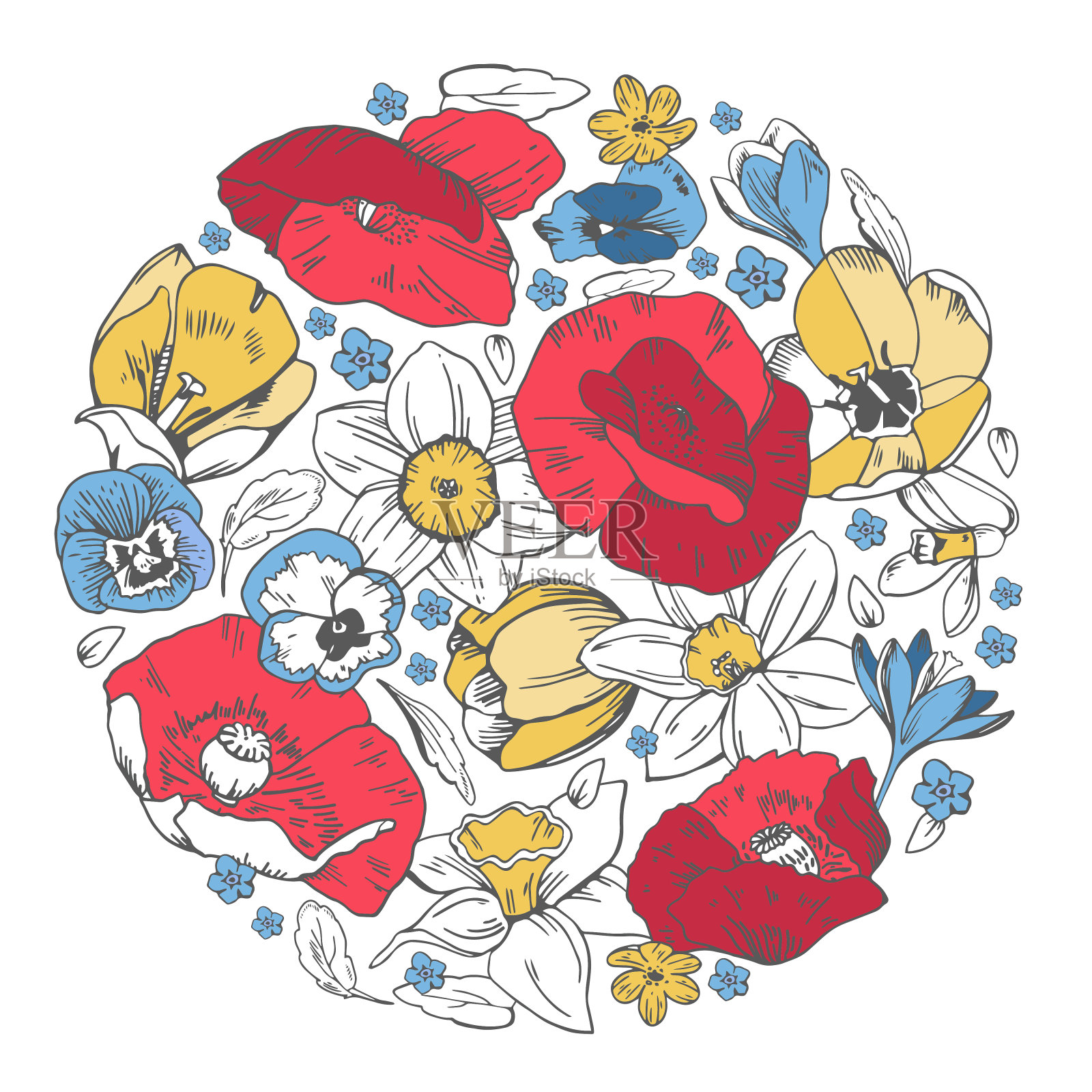 带有野花的圆形构图。罂粟，郁金香，水仙花，三色堇。手绘矢量素描插图上的白色背景插画图片素材
