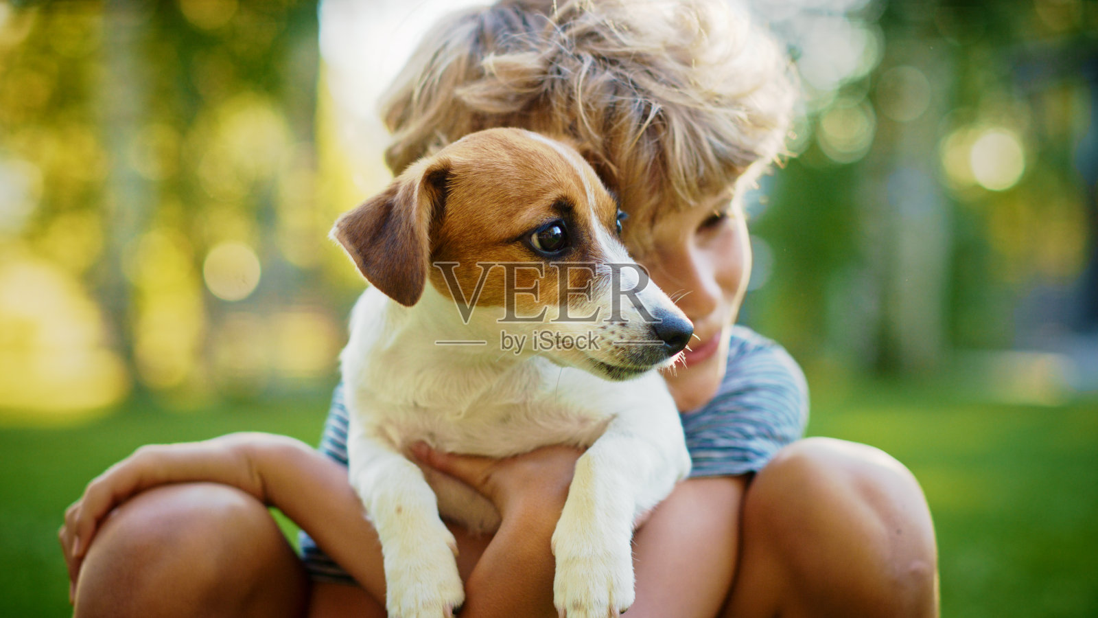 可爱的男孩抱着他最喜欢的纯种狗朋友在户外的草坪上野餐。他宠爱和拥抱他的光滑的小狐狸梗。田园诗般的夏天的房子。照片摄影图片