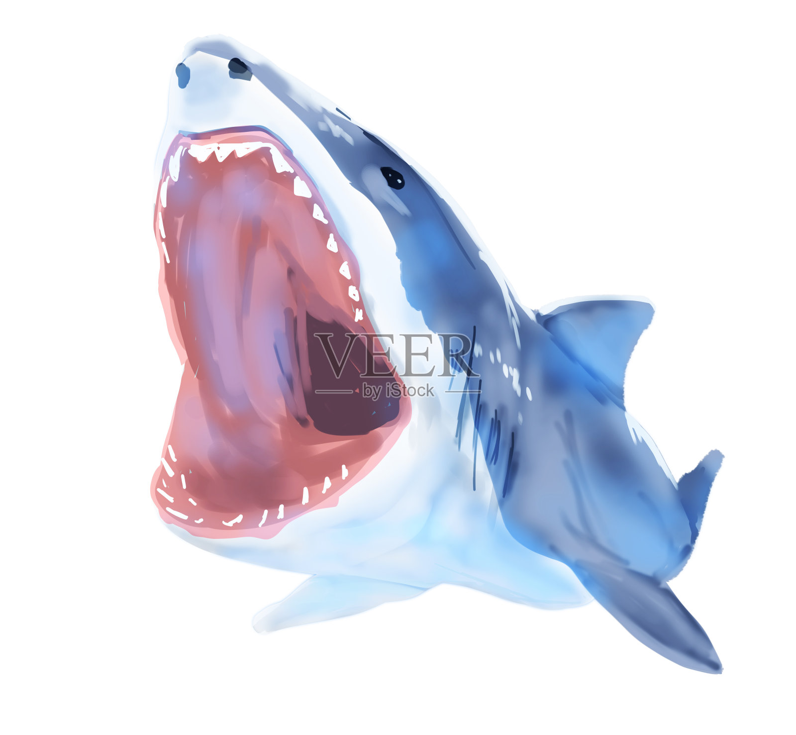 凶猛的鲨鱼插画图片素材