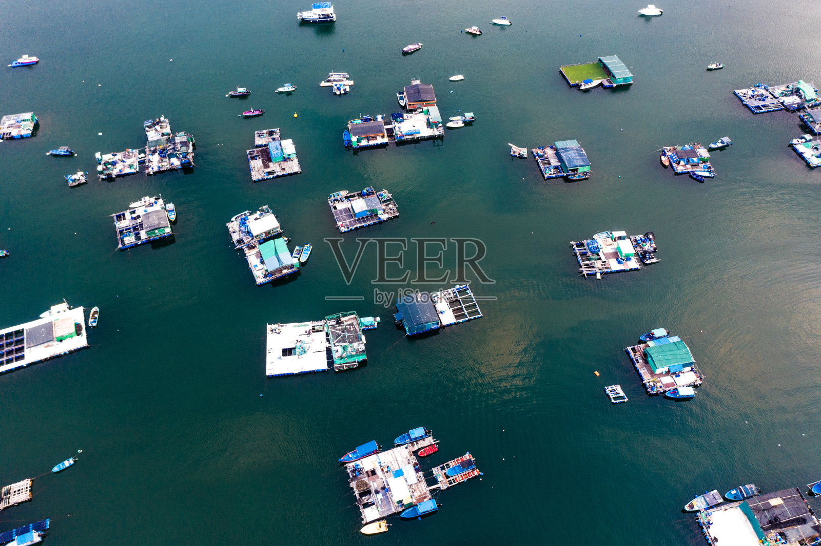 香港大美督宁静的湖照片摄影图片