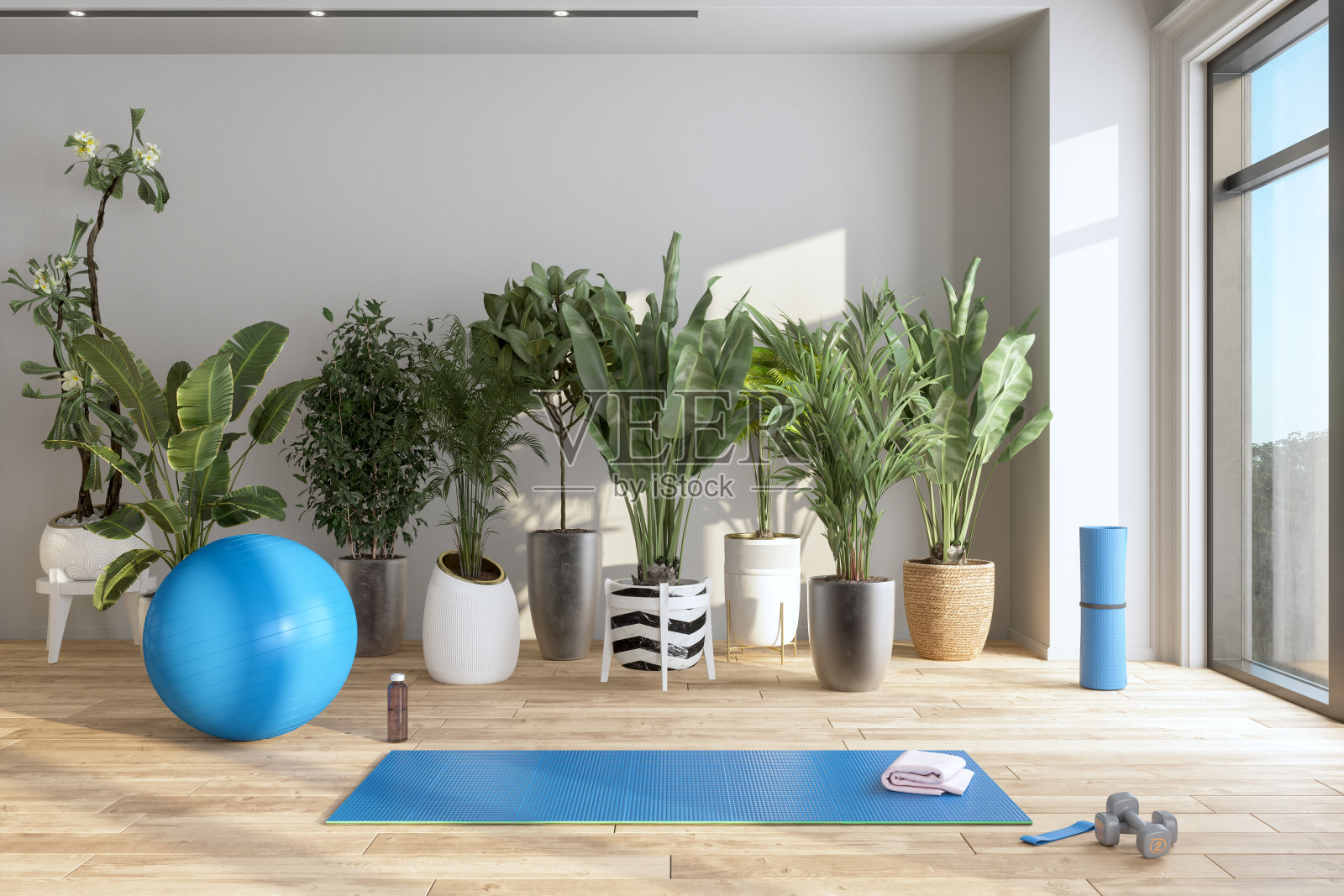 用运动垫、健身球和阻力带在家锻炼。客厅里的盆栽。照片摄影图片