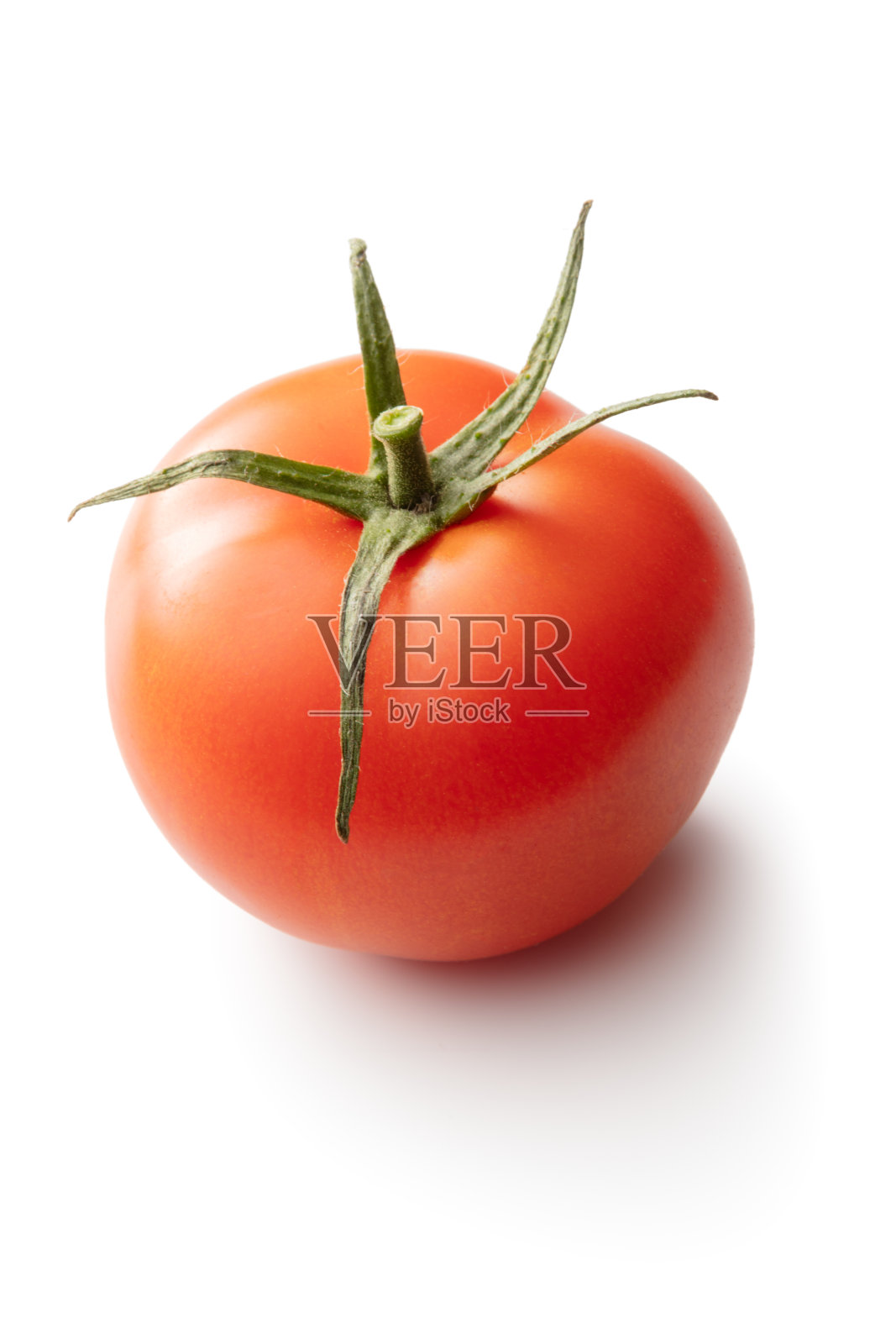 蔬菜:白色背景上孤立的番茄照片摄影图片