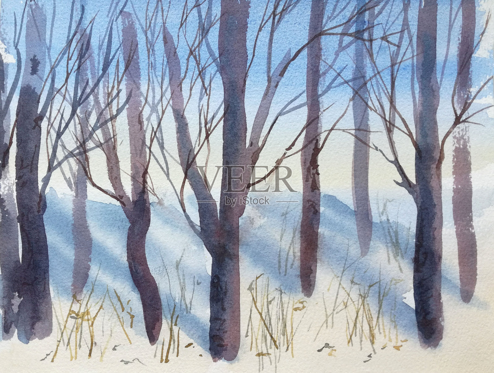 用水彩手绘的自然景观，有冬天的树木。插画图片素材