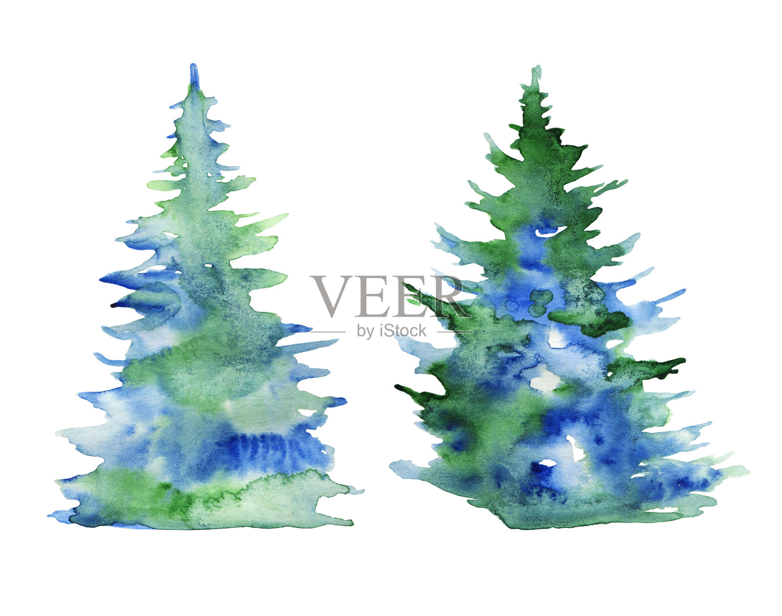 两棵云杉树。手绘水彩素描插图。在白色背景上隔离插画图片素材