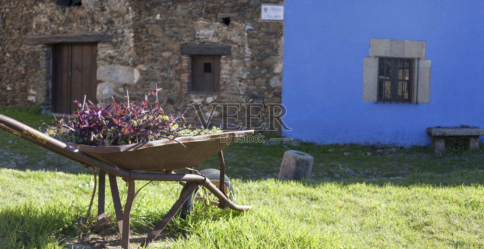 在埃斯特雷马杜拉的格拉纳迪拉，生锈的旧手推车被用作花盆照片摄影图片