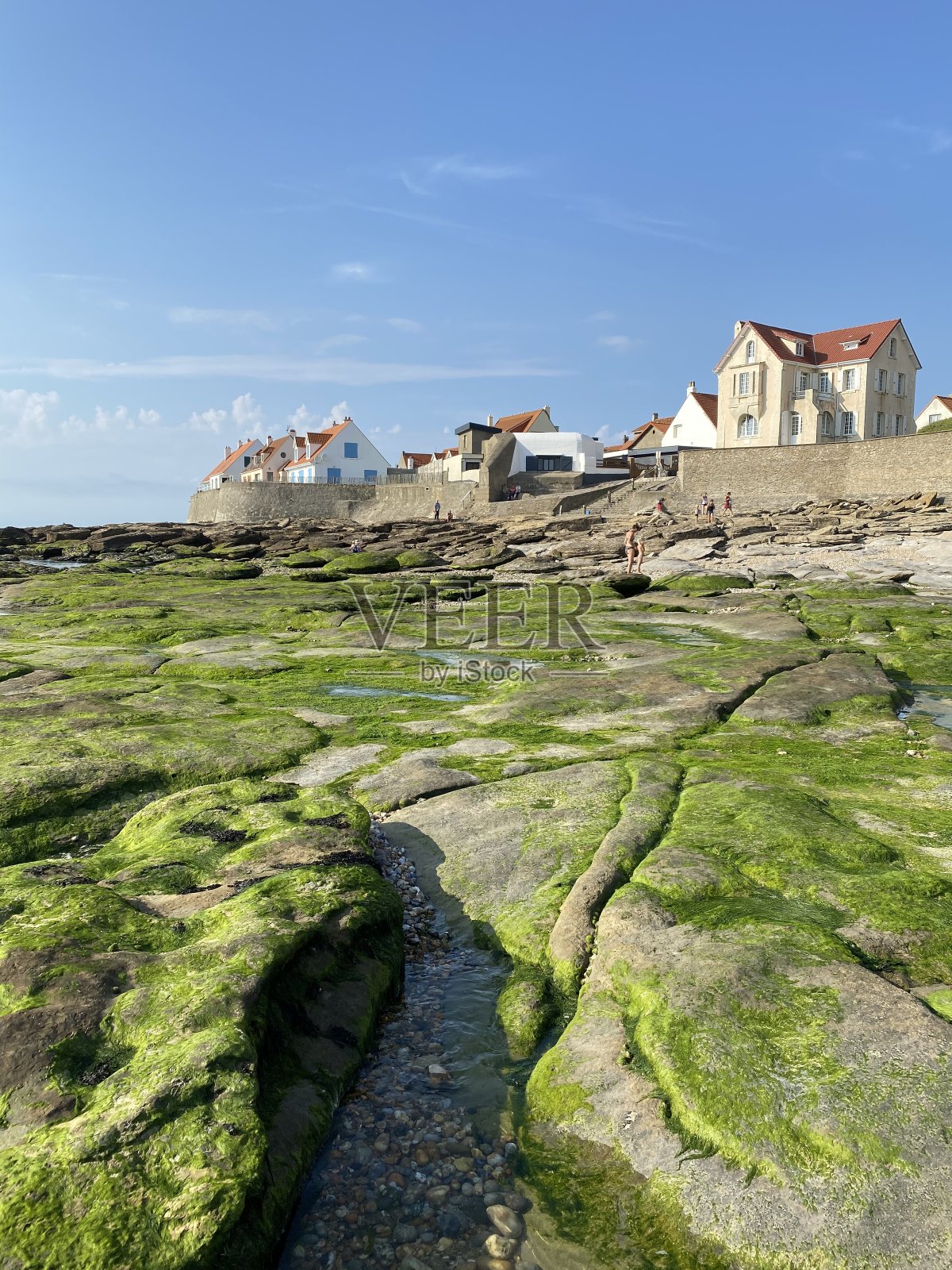 法国北海，灰白色海岸，被绿色海藻覆盖的石头和传统房屋照片摄影图片