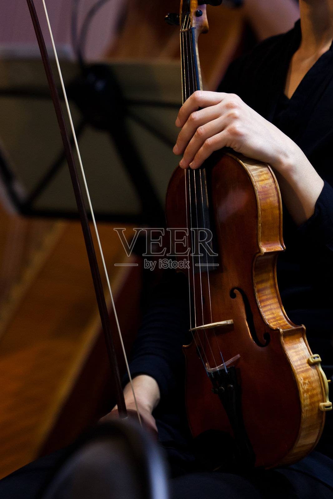 音乐家手中的小提琴照片摄影图片