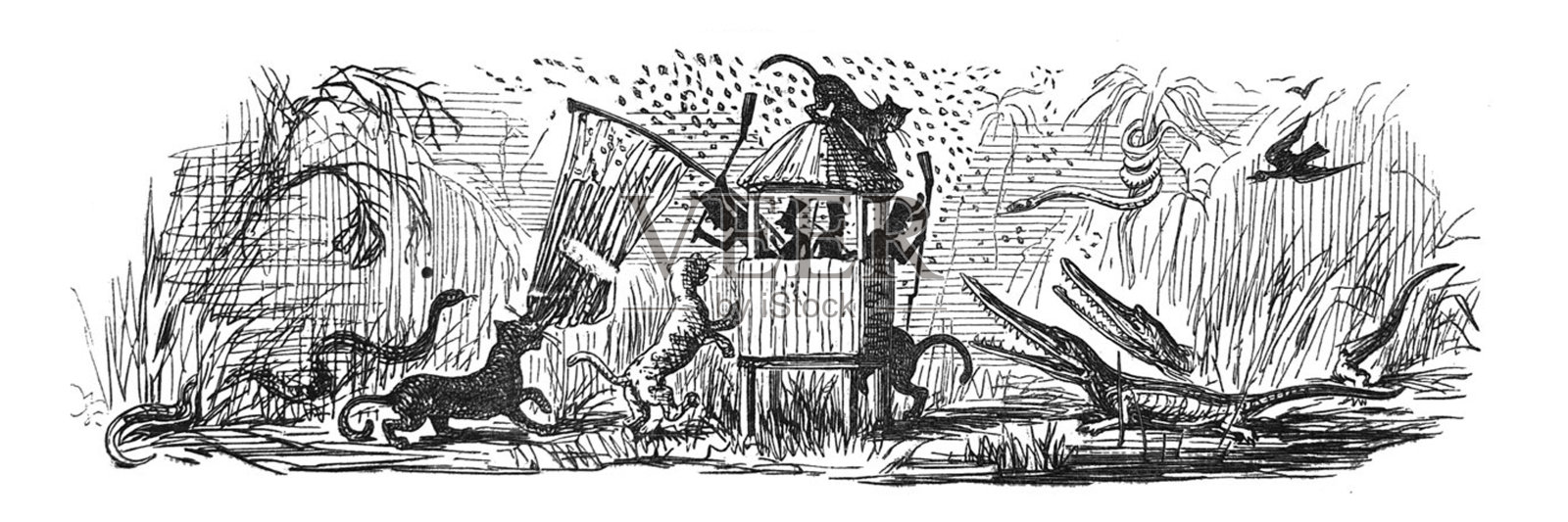 英国讽刺漫画漫画插图-男人站在一个被狮子、蛇、短吻鳄包围的高台上插画图片素材