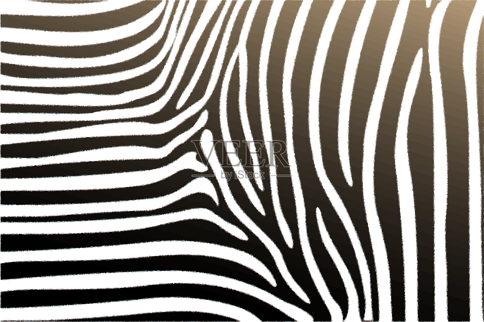 黑白条纹斑马毛皮绘图。野生动物的概念。矢量图插画图片素材