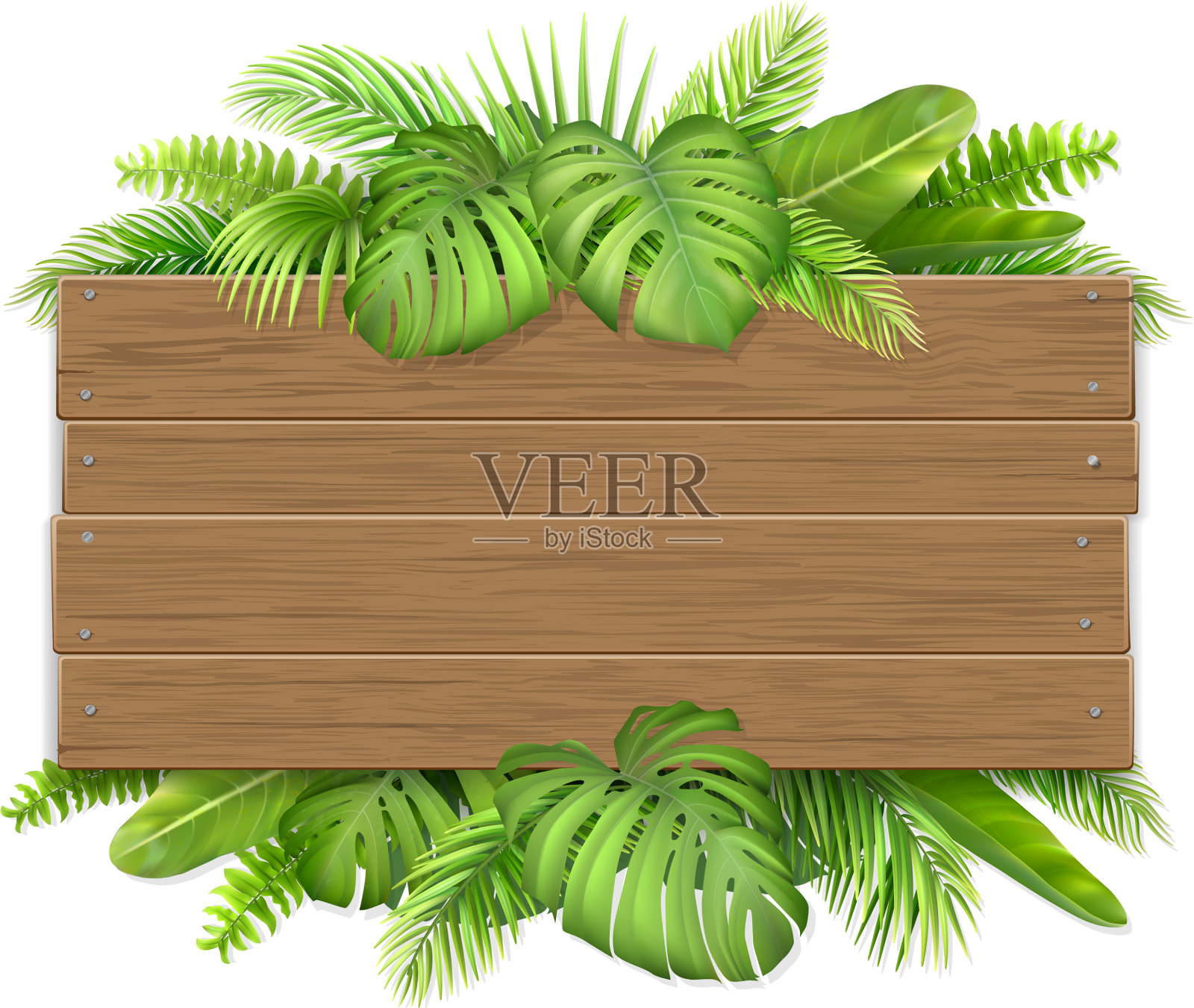 带有热带叶子的木制标志设计元素图片