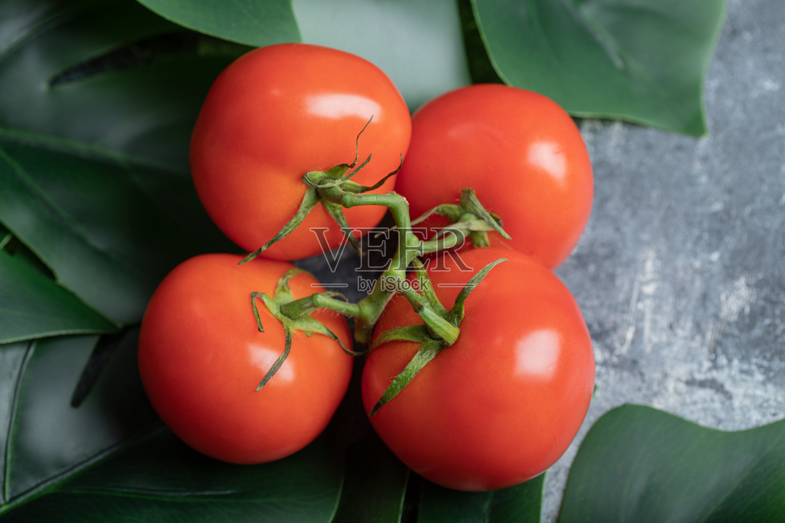 成熟的红番茄，带一束叶子照片摄影图片
