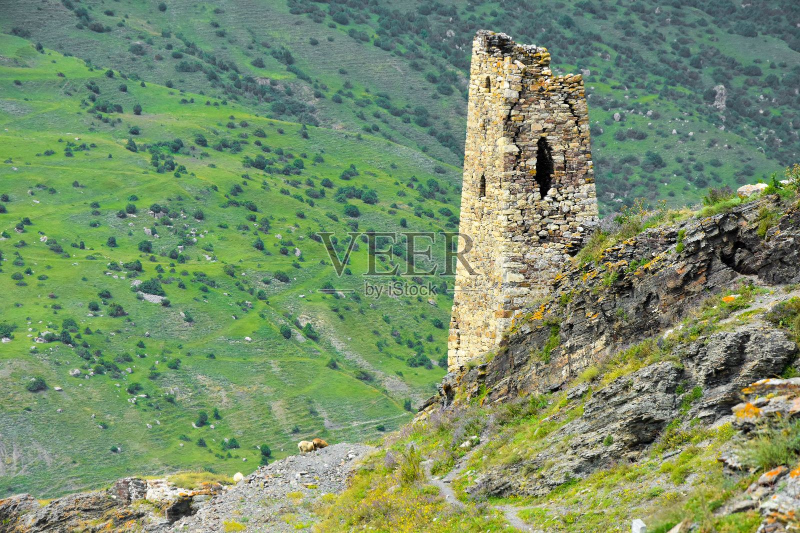 位于北高加索山脉库尔塔斯基峡谷的古老废弃村庄Tsmiti。北奥塞梯-阿拉尼亚共和国照片摄影图片