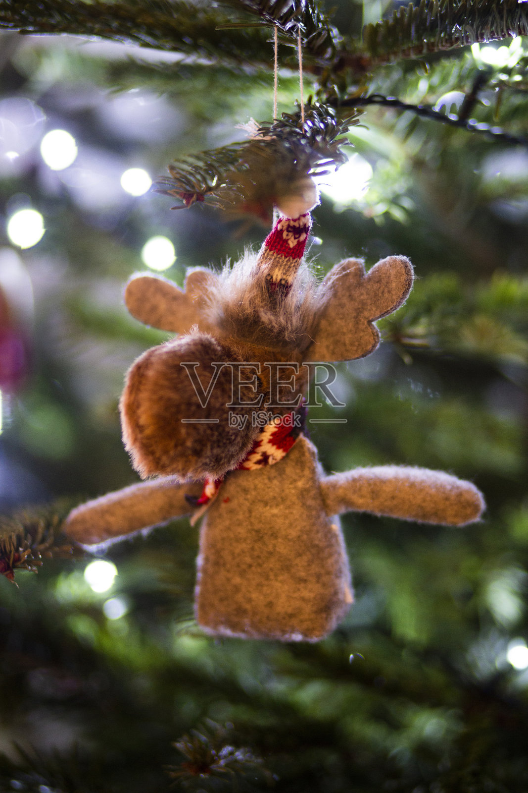 波兰Piotrkow Trybunalski，挂在树上的驯鹿圣诞装饰品照片摄影图片
