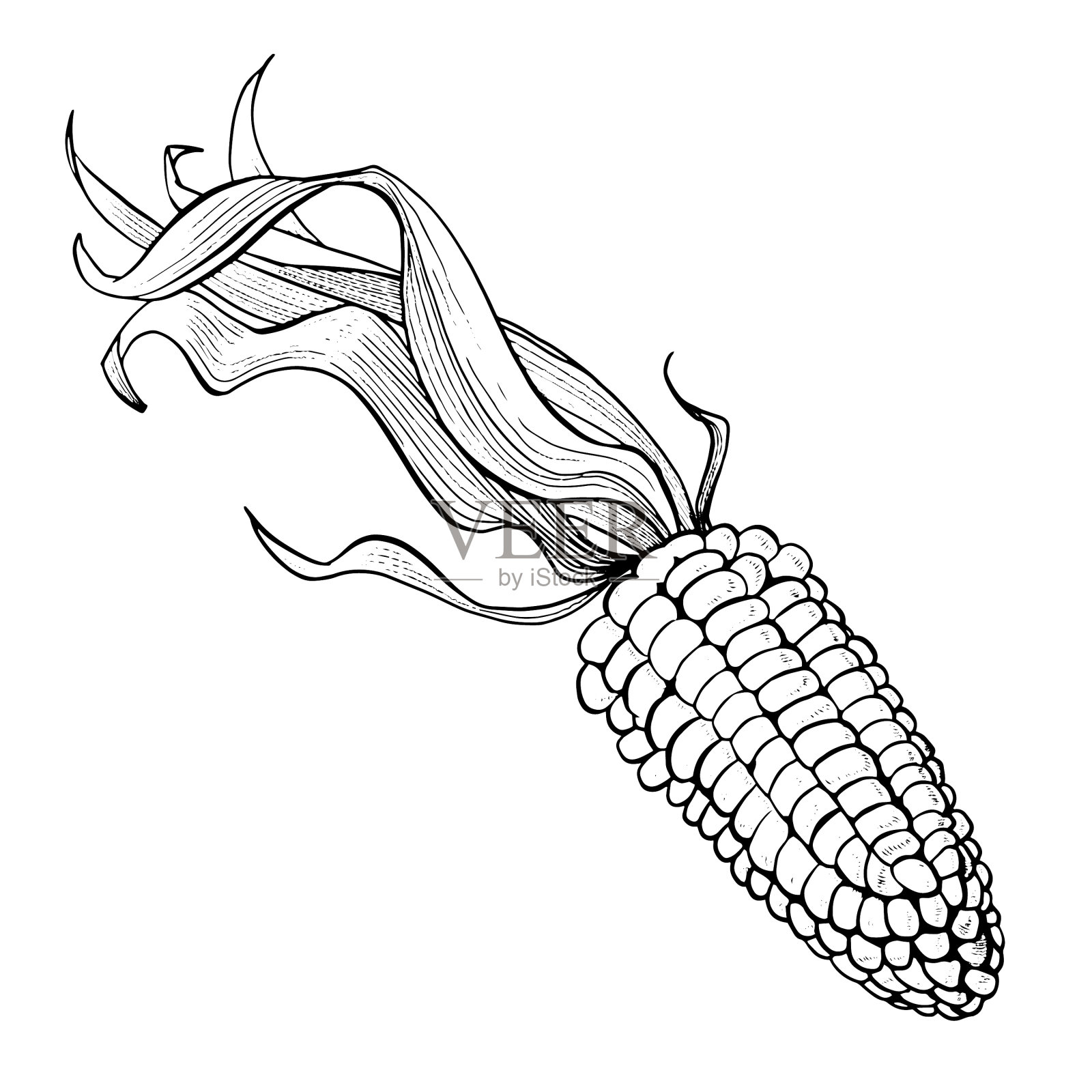 玉米手拉集孤立插画图片素材