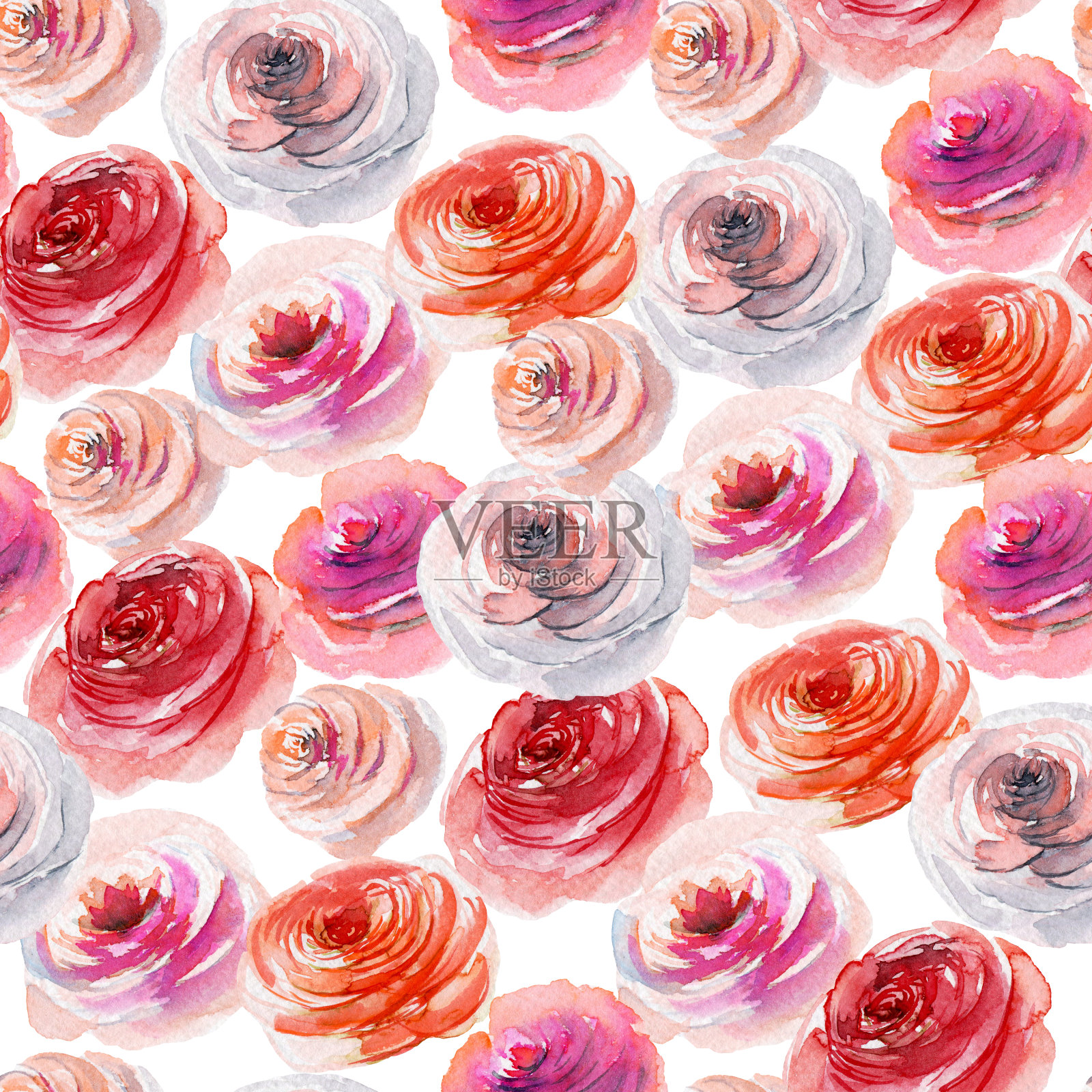 花无缝模式的水彩红，白和粉色玫瑰，插图在白色的背景插画图片素材