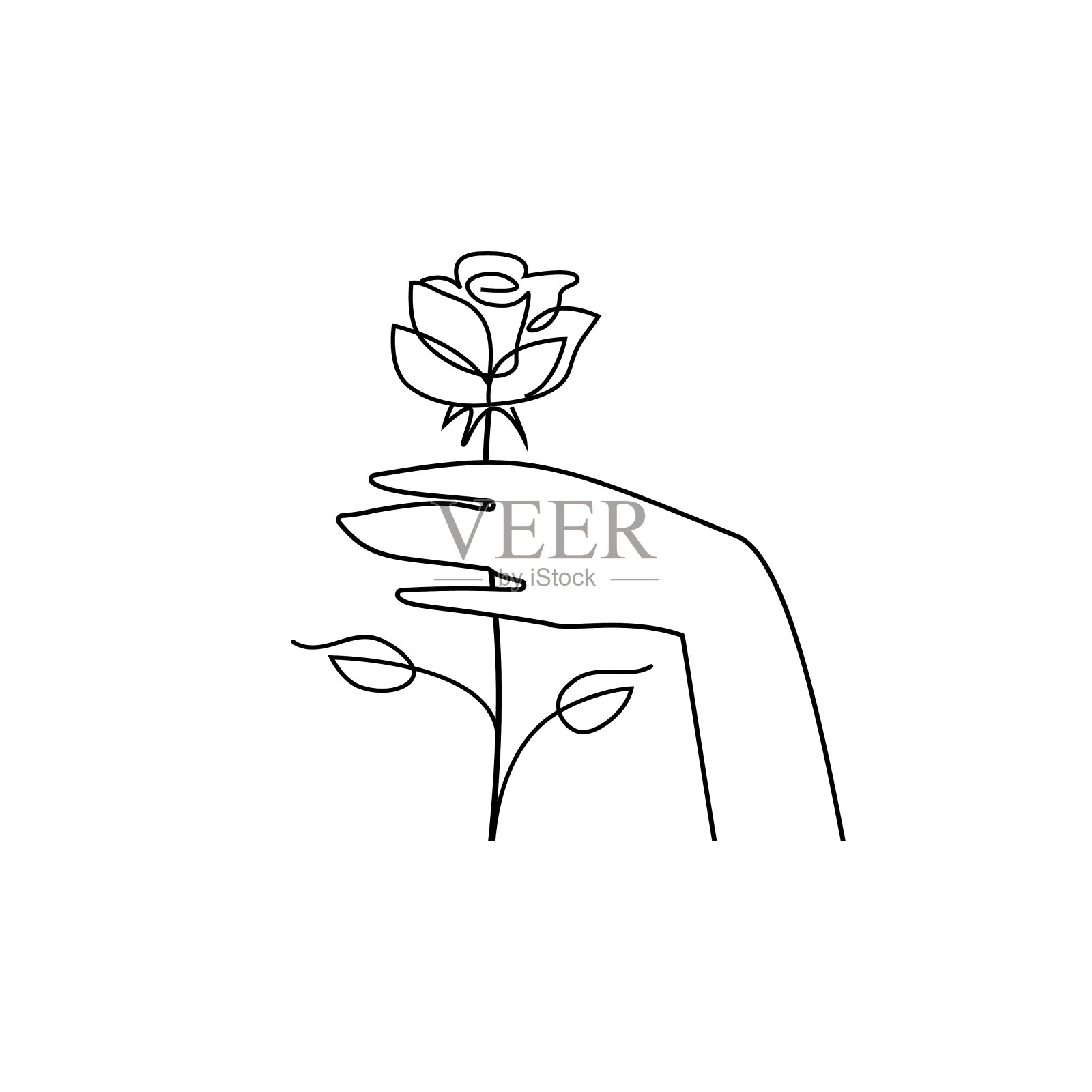 手里拿着玫瑰，画着一条线插画图片素材