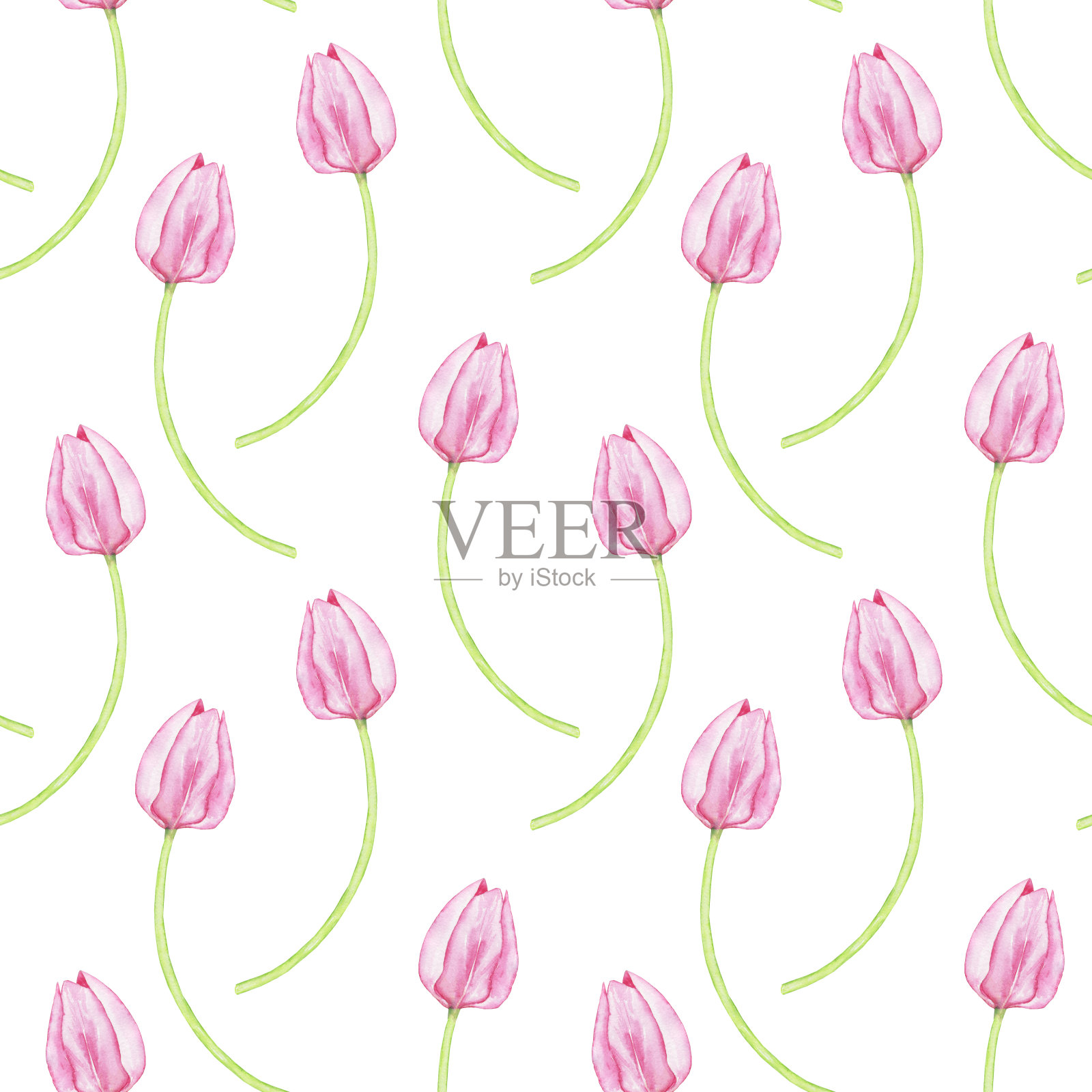 粉红色郁金香无缝图案上的白色背景。水彩手绘插图。适合春花墙纸、纺织品。插画图片素材