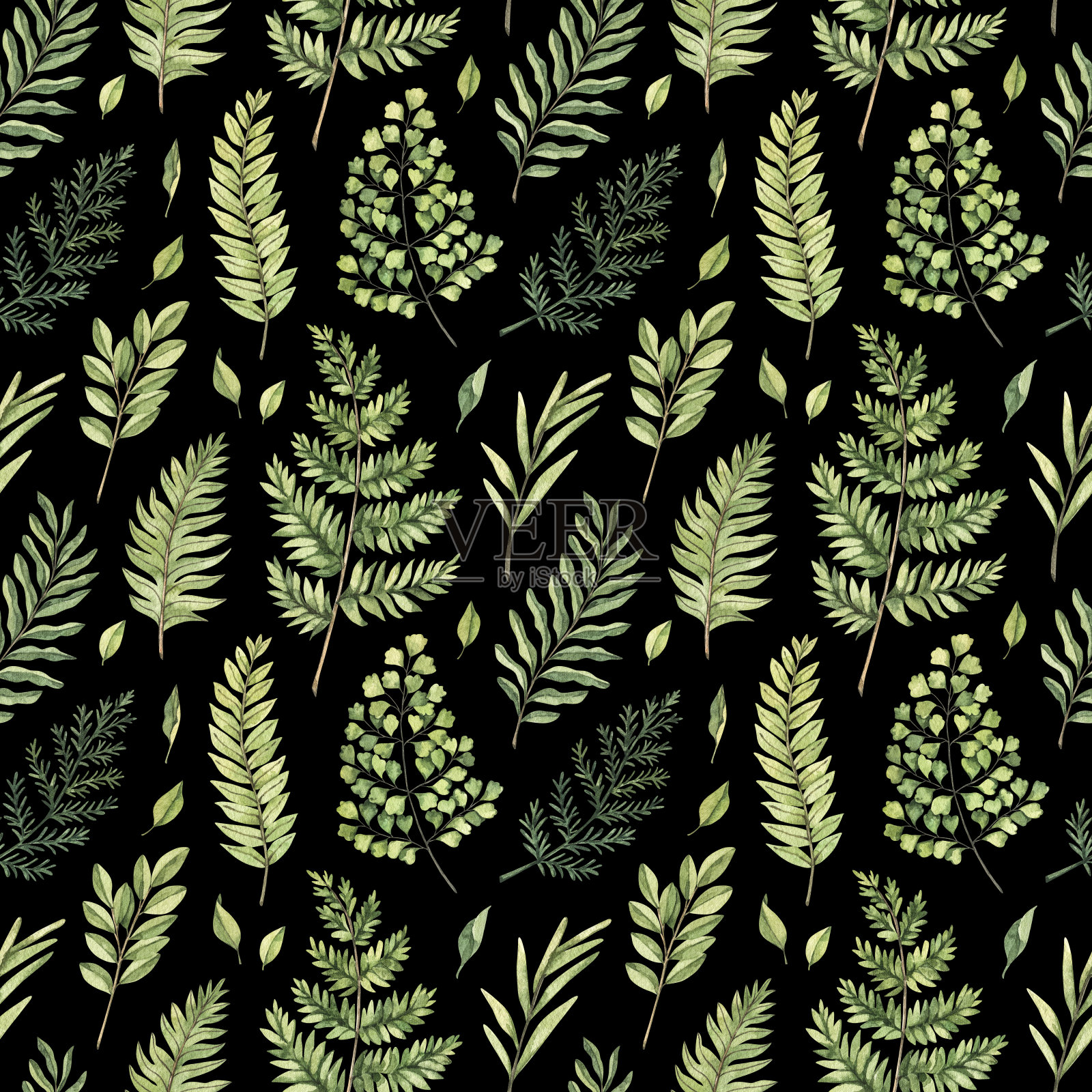 绿色植物水彩无缝图案。植物黑色背景与绿色的枝，叶和蕨类植物插图。花卉设计。完美的邀请，包装纸，纺织品，织物，包装插画图片素材