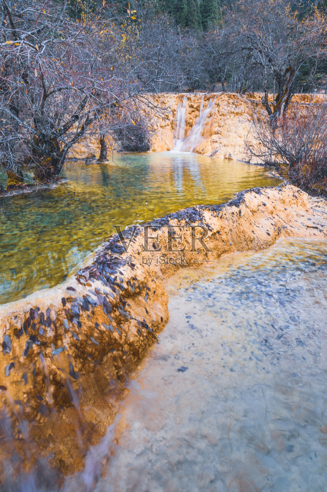 在黄龙国家公园里，白雪覆盖的冬天让人放松和宁静照片摄影图片