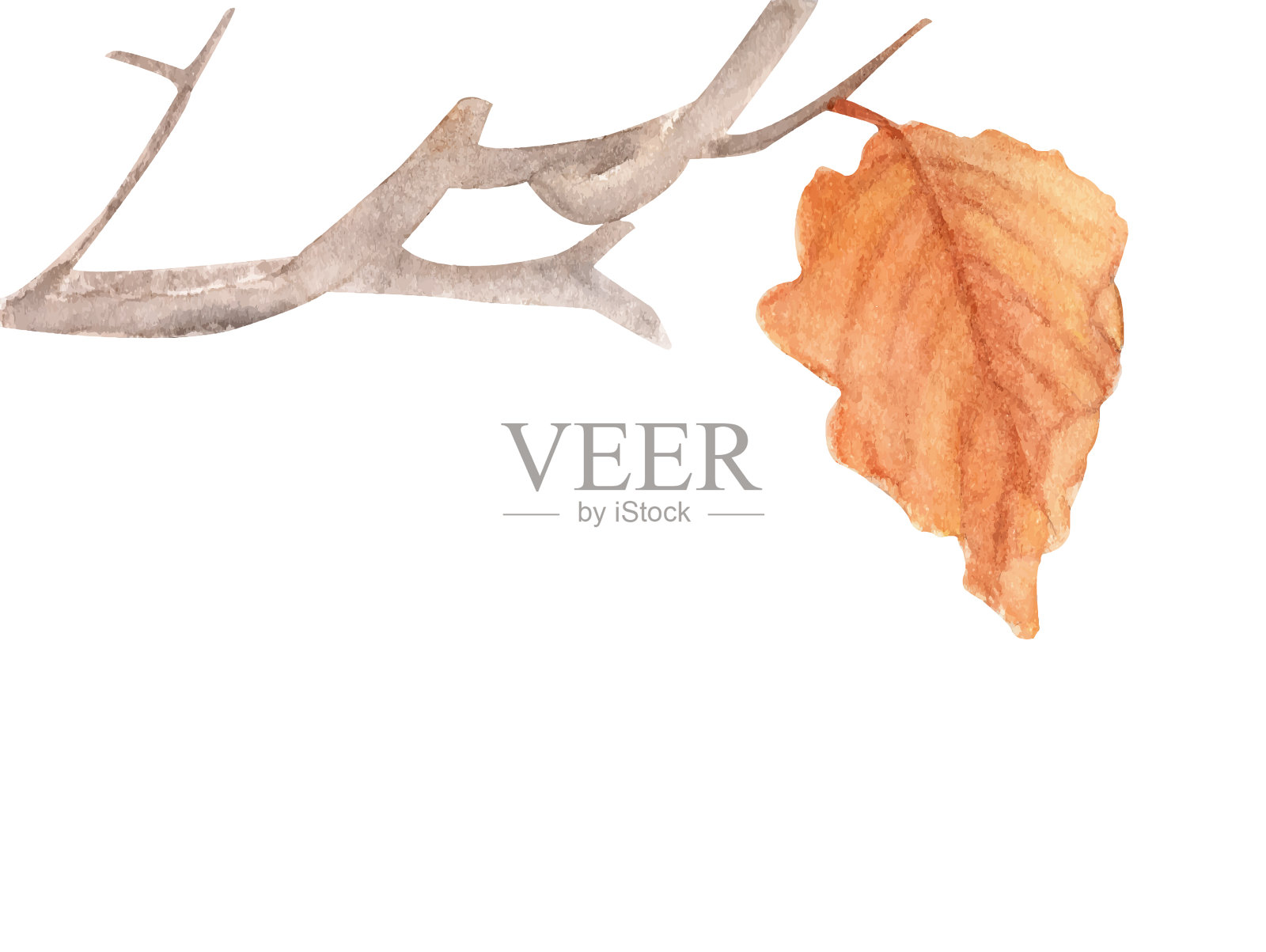枯枝黄叶-秋天设计元素图片