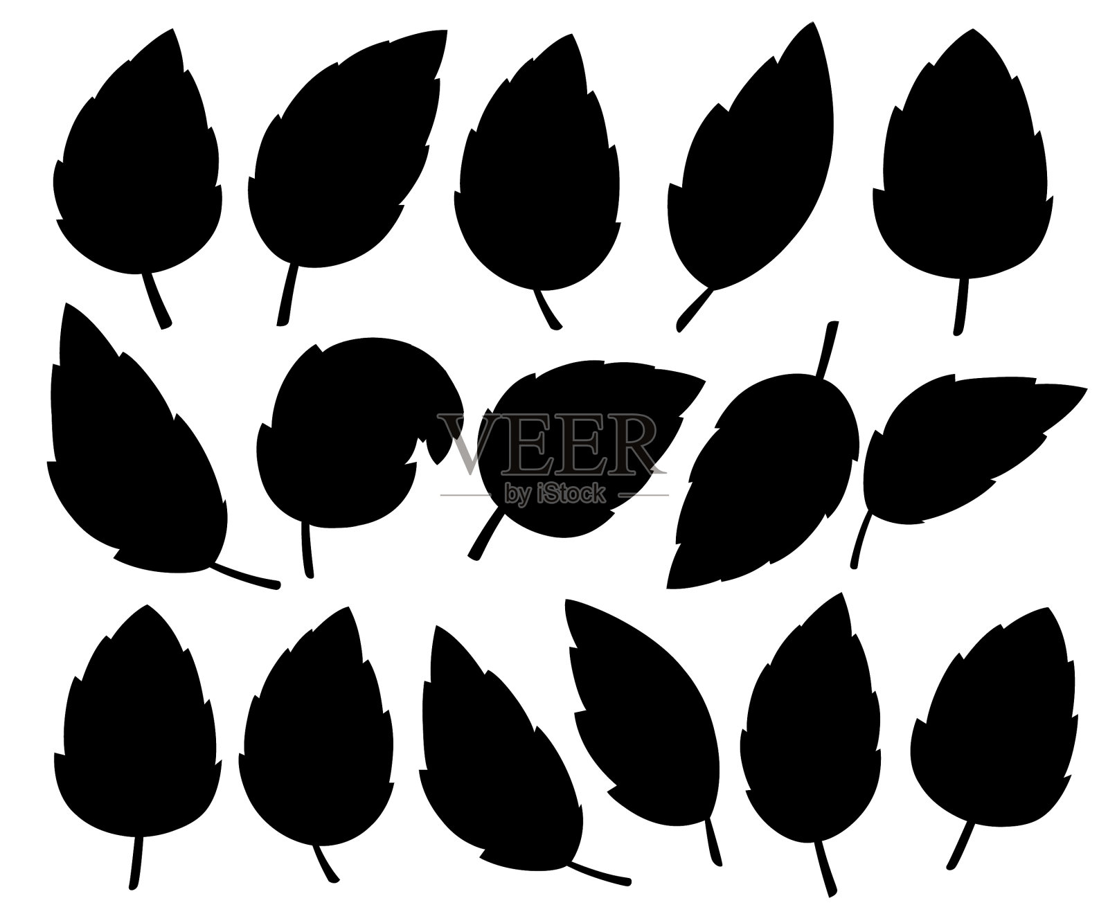 设置黑色的叶子各种形状的叶子设计元素图片