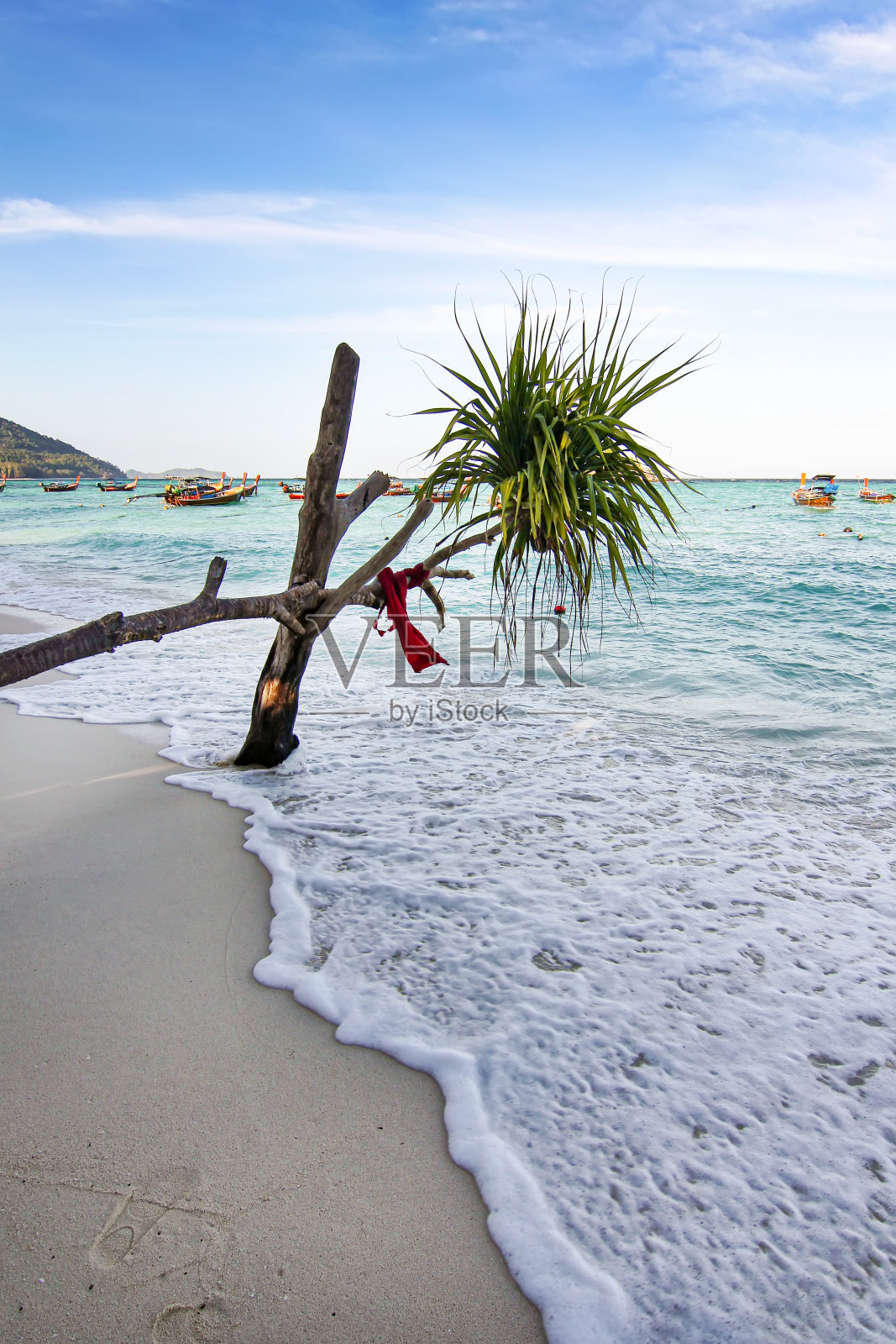 美丽的泰国旅游岛“Koh Lipe”白色的沙滩和椰子树生长成绿松石的海水与阳光清澈的蓝天背景景观照片摄影图片