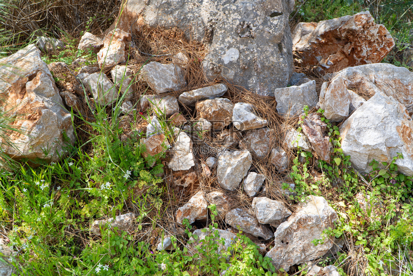 岩石和灌木作为天然的篱笆。夏天的风景照片摄影图片