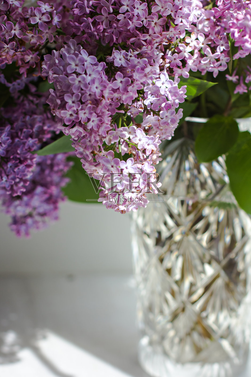 窗户上插着一束紫丁香的花瓶。照片摄影图片