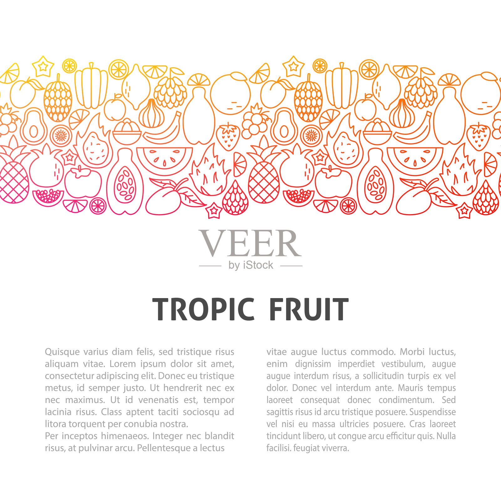 热带水果品种模板插画图片素材