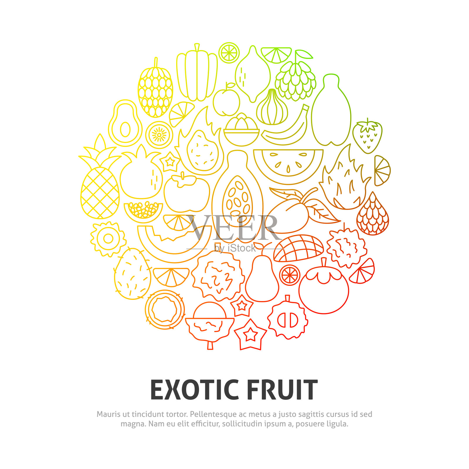异国水果圈概念插画图片素材