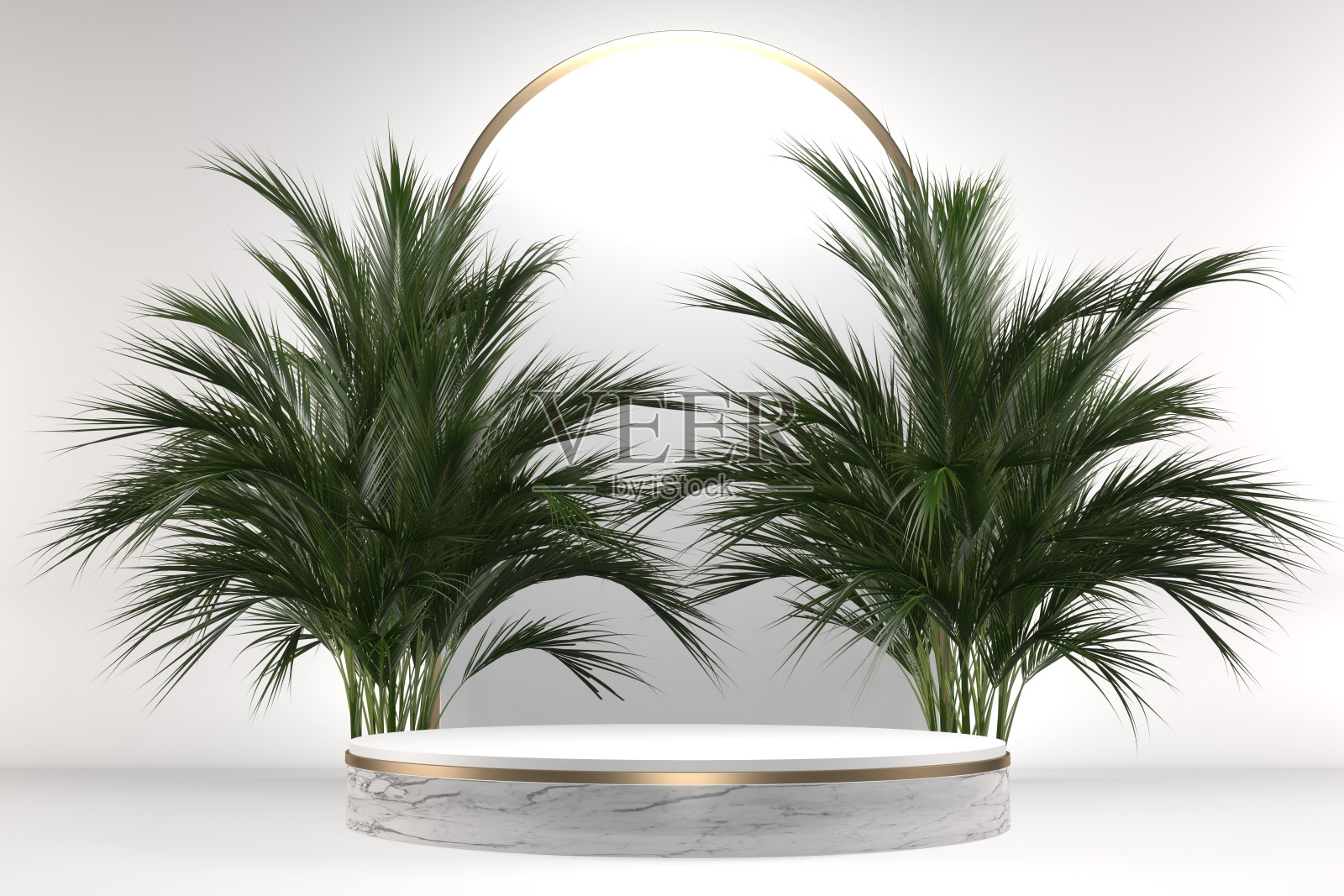 热带花岗岩裙台几何和植物装饰在白色的背景。3d渲染照片摄影图片