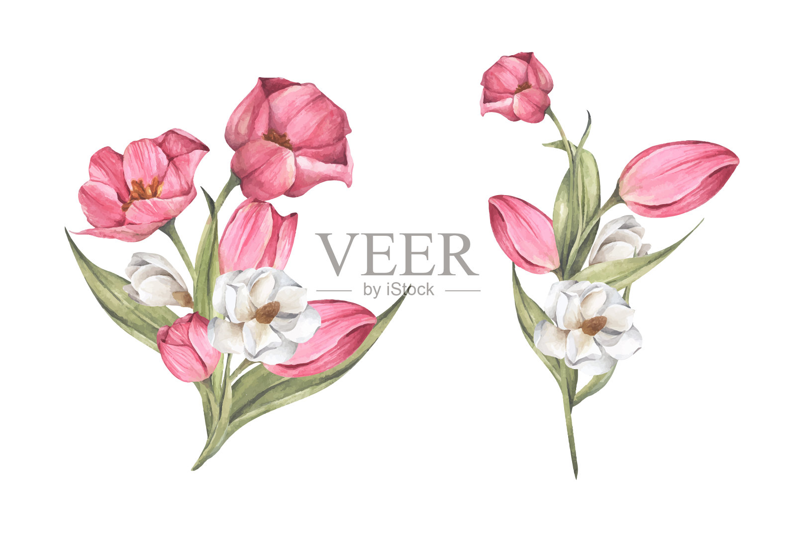 花束郁金香和木兰花设计元素图片
