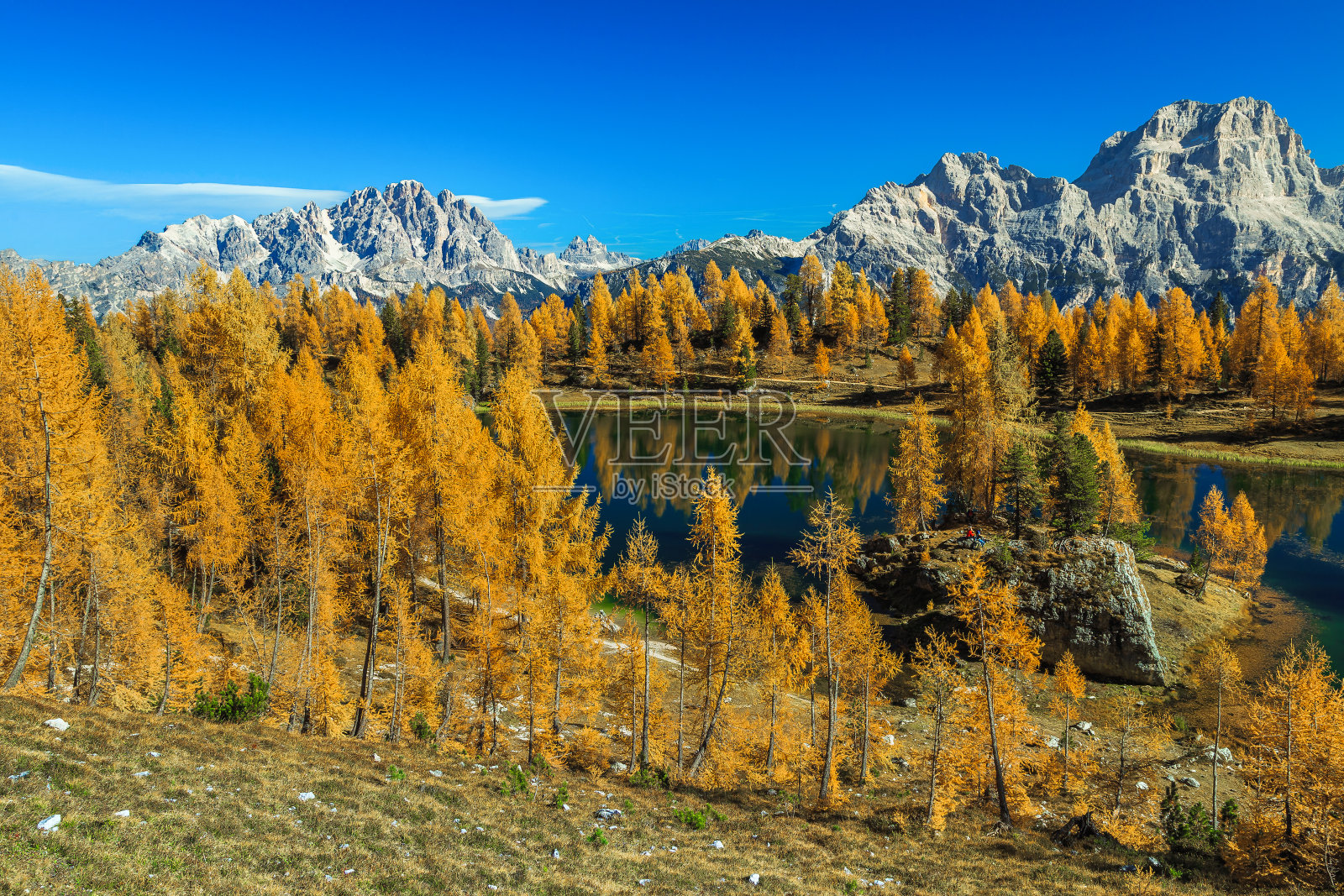 美丽的Federa湖在秋天落叶松森林，多洛米特，意大利照片摄影图片