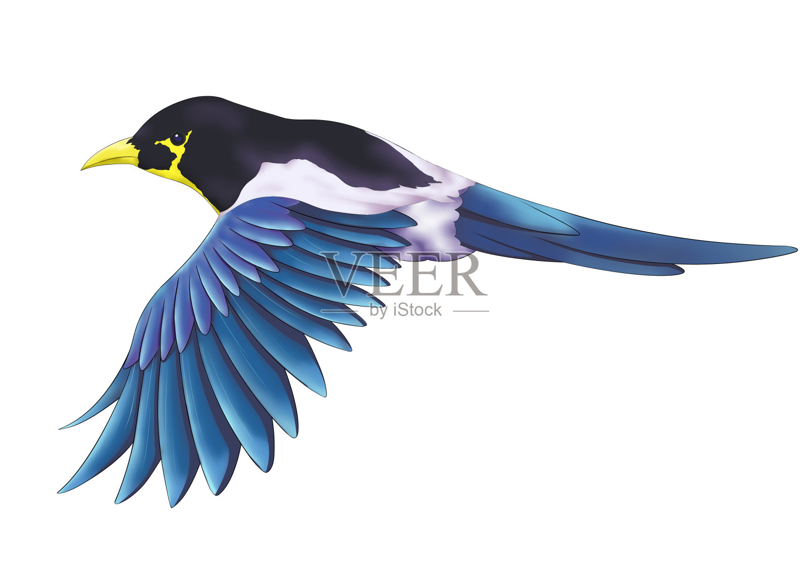 卡通蓝色飞翔的喜鹊插画设计元素图片