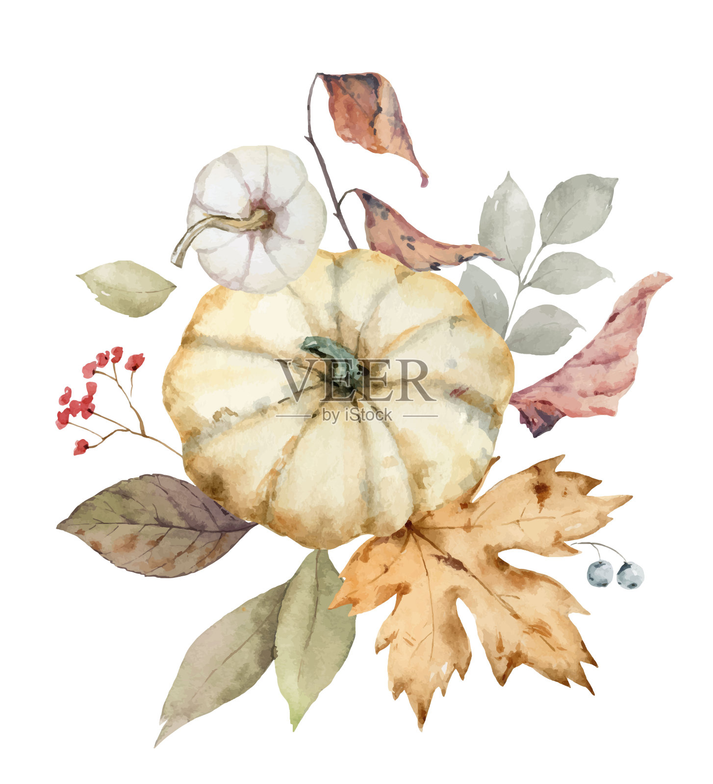 感恩节的水彩向量花束，用五颜六色的南瓜布置的问候，秋天的树枝和树叶孤立在白色上
背景。设计元素图片