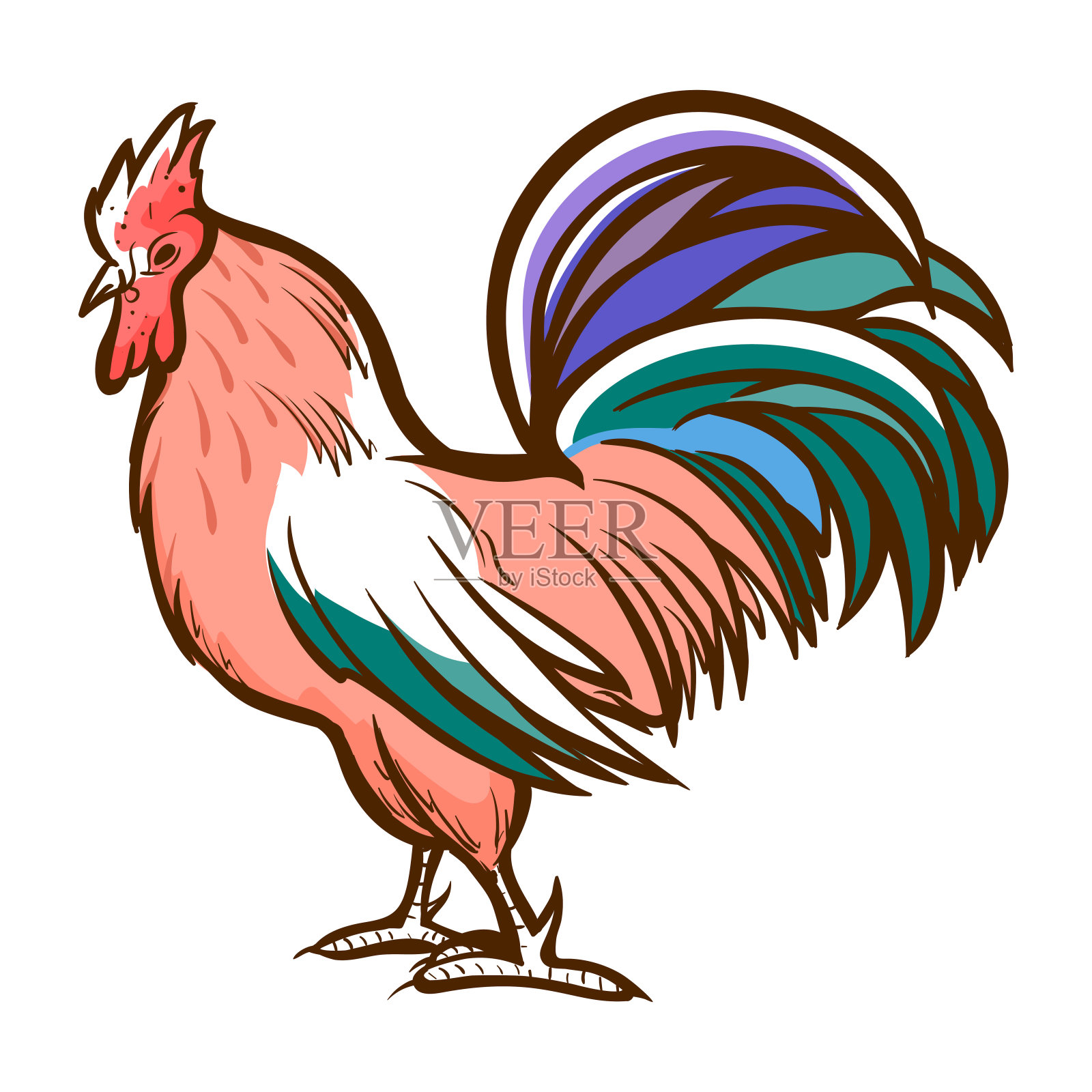 公鸡手绘图标。小公鸡，小公鸡，红色丛林鸟。国内的鸟。院子里的家禽。养鸡场。插画图片素材