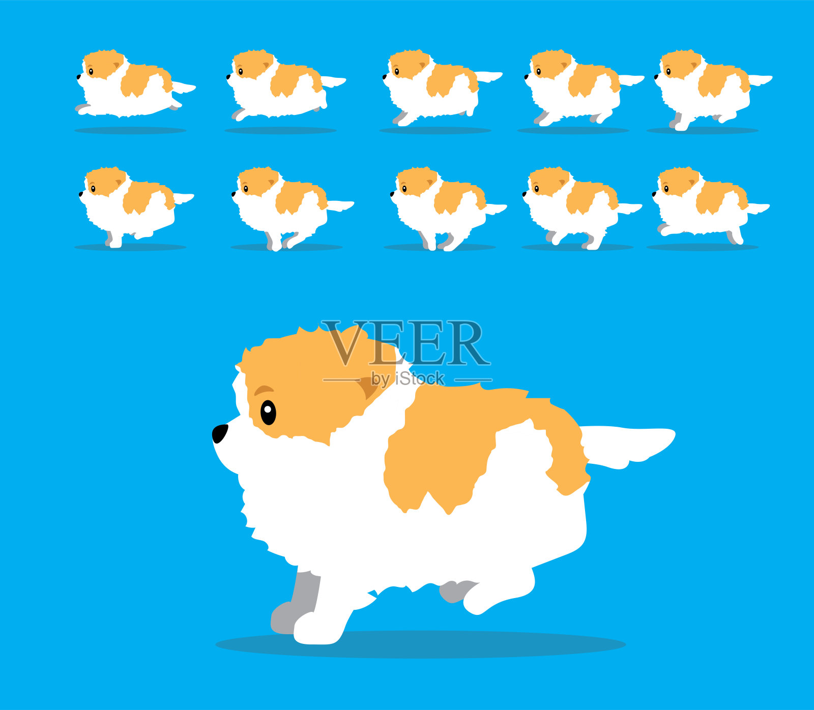 动物动画序列狗博美犬卡通矢量双色设计元素图片