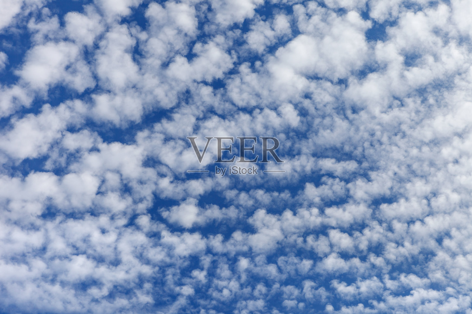蓝色天空背景上美丽的分层积云。层积云照片摄影图片