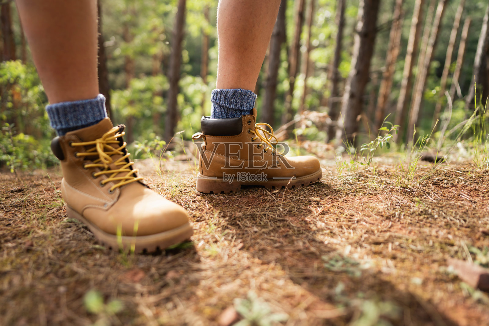森林里徒步旅行者靴子的特写镜头照片摄影图片