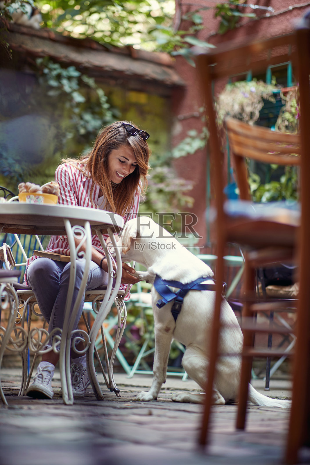 年轻的白种人成年红发与她的狗在一个宠物友好的咖啡馆，坐在户外，玩，握着宠物的爪子，有一个很好的时间照片摄影图片