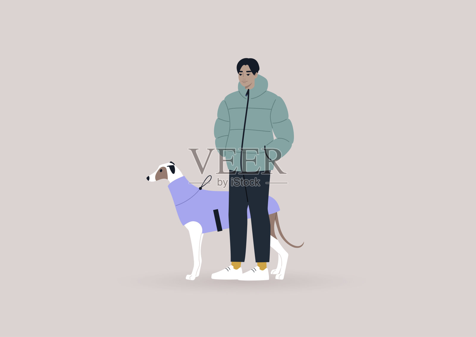 一个年轻的雄性亚洲灰狗主人和他们的宠物散步，冬天，狗的衣服插画图片素材